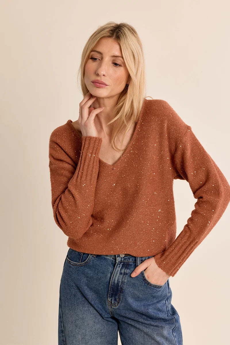 Sequin V-Neck Fine Knit Sweater