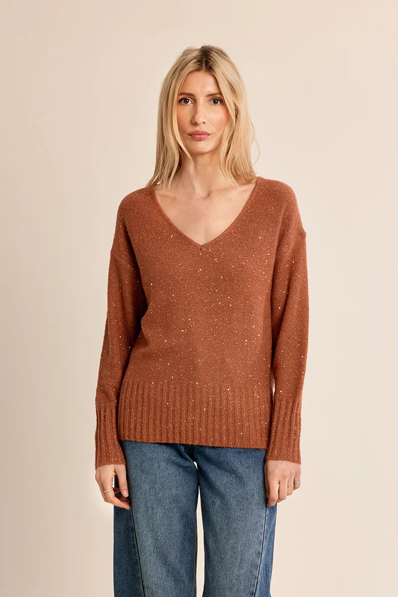 Sequin V-Neck Fine Knit Sweater