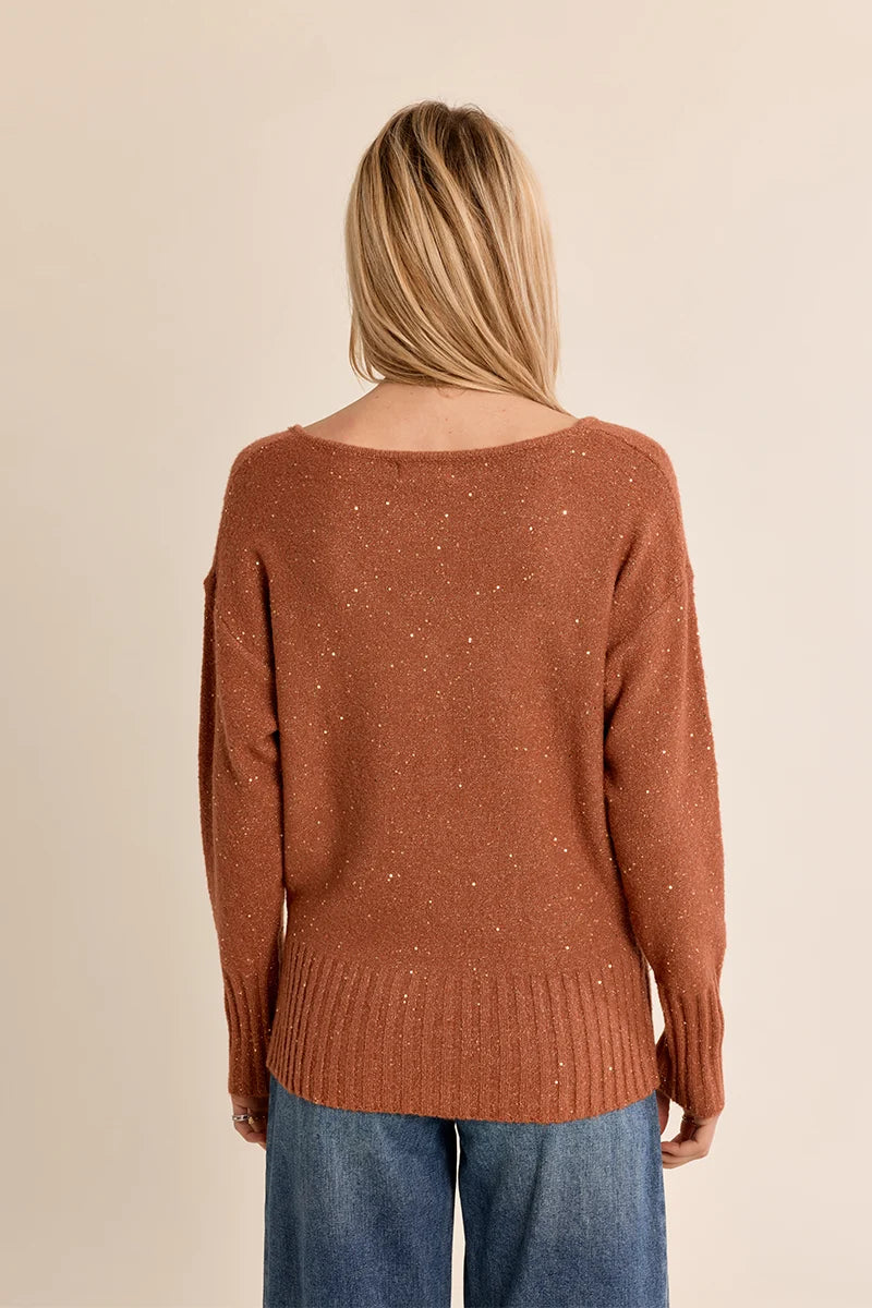 Sequin V-Neck Fine Knit Sweater