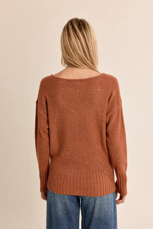 Sequin V-Neck Fine Knit Sweater