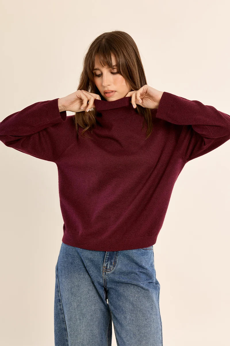 Classic Knit Turtleneck Sweater