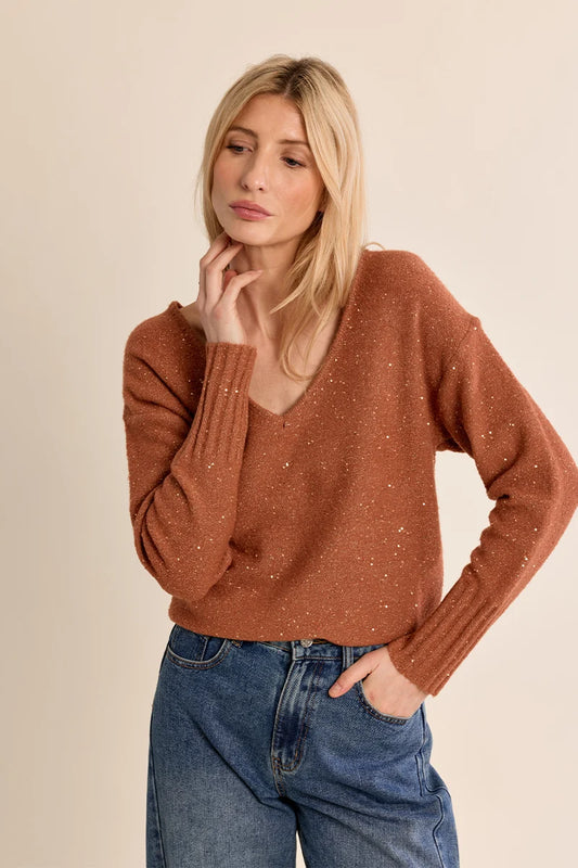 Sequin V-Neck Fine Knit Sweater
